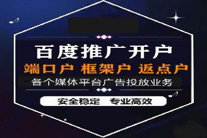 某某sem推广公司在某行业的应用与效果分析